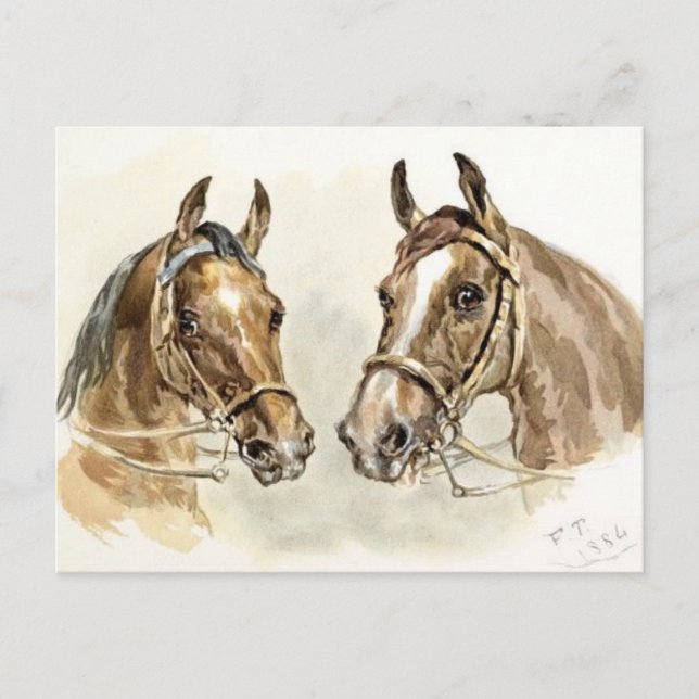 Cartão Postal Dois Cavalos de "Estudos em Pintura Animal" (Frente)
