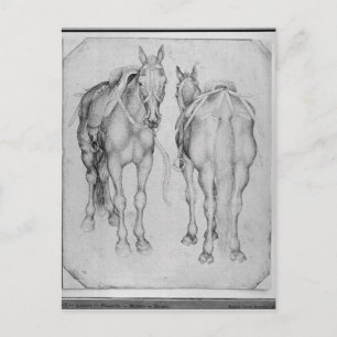 Cartão Postal Dois cavalos, do The Vallardi Album