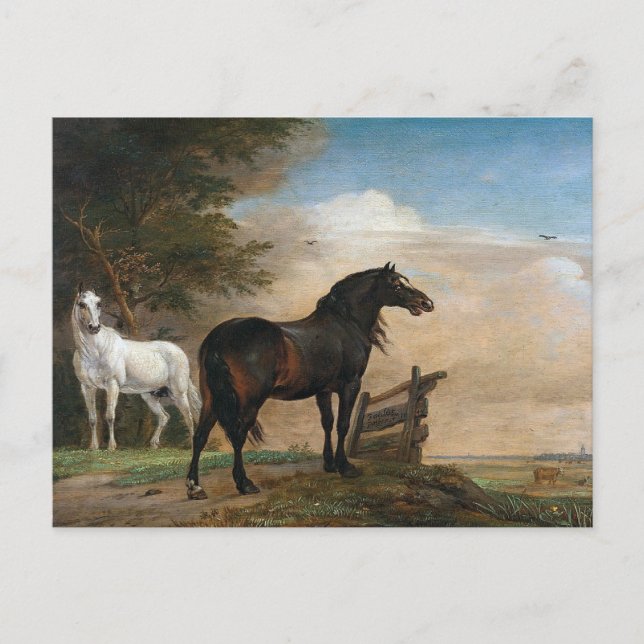 Cartão Postal Dois Cavalos em pasto (Frente)