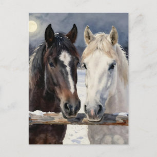 Cartão Postal Dois Cavalos numa Fazenda Nevada   Mantendo Contat
