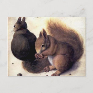 Cartão Postal 'Dois Esquilos' de Albrecht Dürer