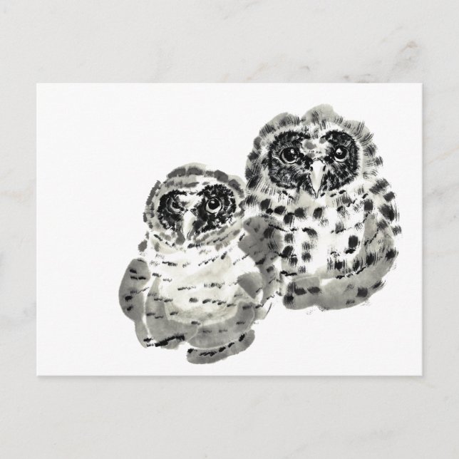 Cartão Postal Dois filhotes de coruja pintura sumie ink (Frente)