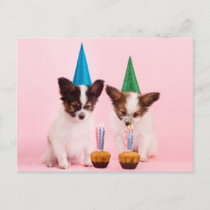 Cartão Postal Dois Filhotes Fofos /C Chapéus e Velas de Aniversá