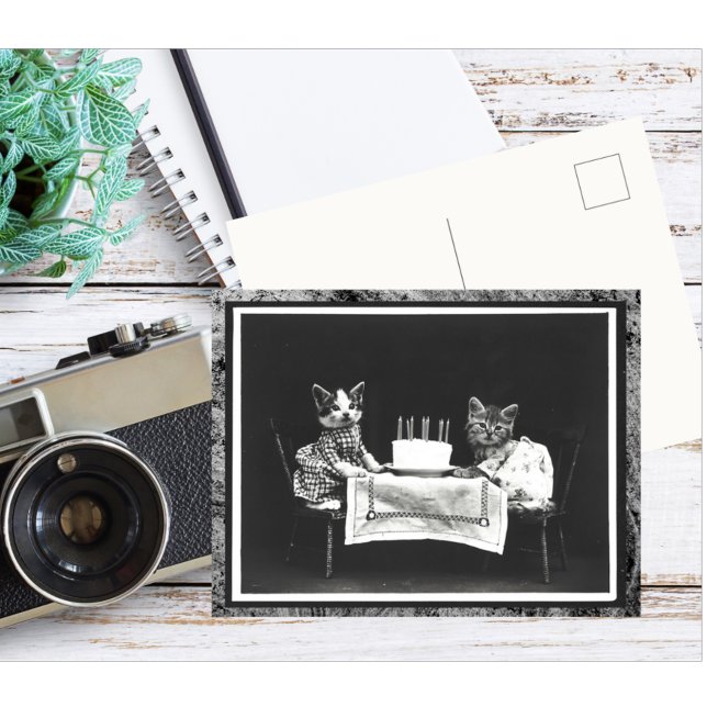 Cartão Postal Dois Gatinhos Antigos E O Bolo De Aniversário (Criador carregado)