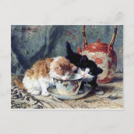 Cartão Postal Dois gatinhos tendo festa de chá