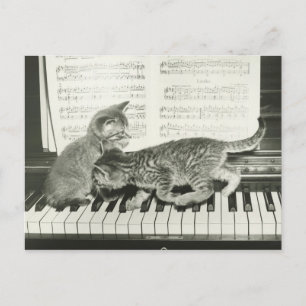 Cartão Postal Dois gatinhos tocando no teclado de piano, (B&W)