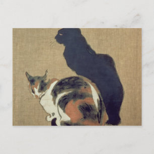 Cartão Postal Dois gatos, 1894