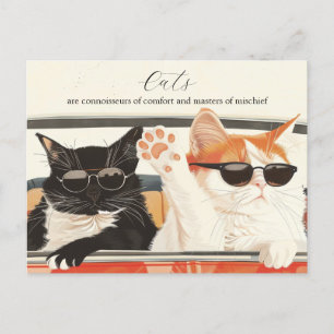 Cartão Postal Dois Gatos Cujos