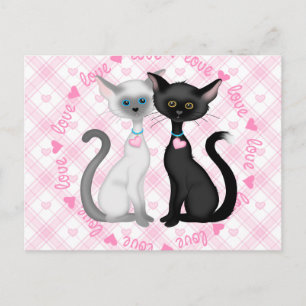 Cartão Postal Dois Gatos Cujos Apaixonados