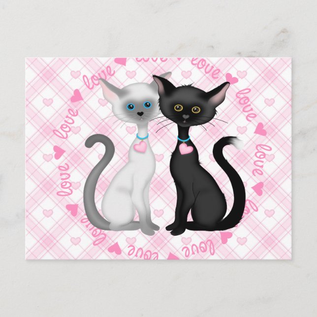 Cartão Postal Dois Gatos Cujos Apaixonados (Frente)