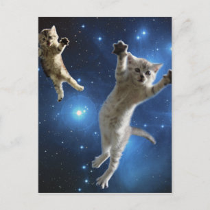 Cartão Postal Dois Gatos Espaciais Flutuando Ao Redor Da Galáxi