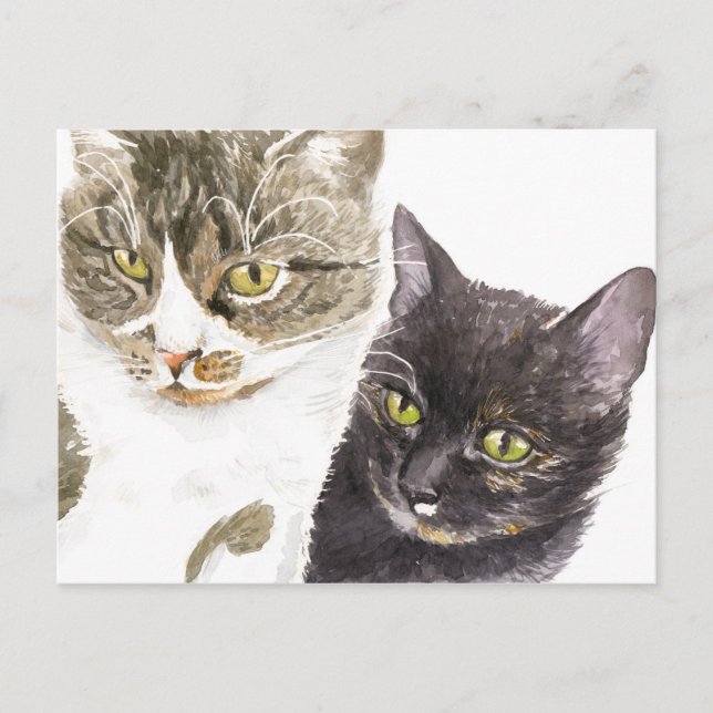 Cartão Postal Dois gatos - tabby e tortie (Frente)