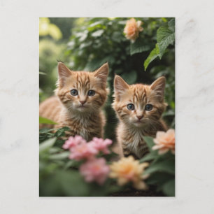 Cartão Postal Dois Gengibres Explorando Um Jardim Escovado