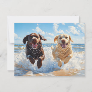 Cartão Postal Dois Labrador Retrievers na Praia