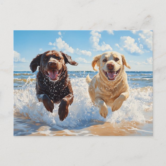 Cartão Postal Dois Labrador Retrievers na Praia (Frente)
