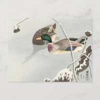 Dois Mallards perto de uma pintura de lótus cobert