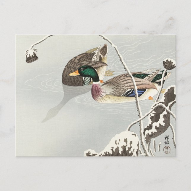 Cartão Postal Dois Mallards perto de uma pintura de lótus cobert (Frente)