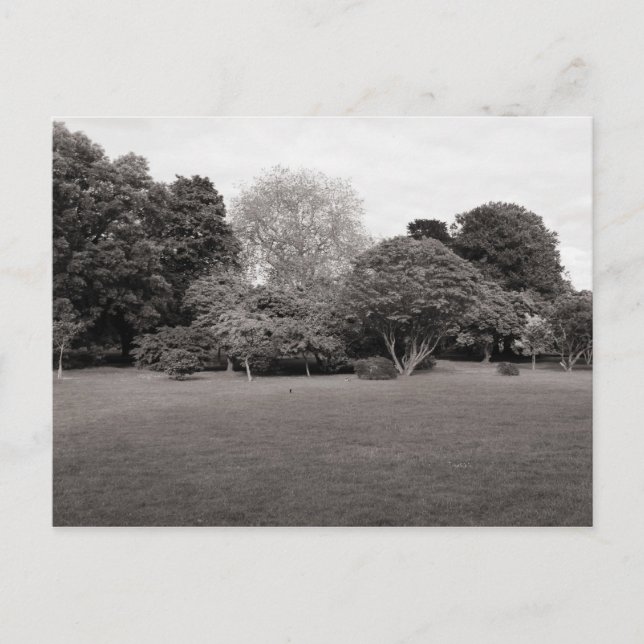 Cartão Postal Dois para a alegria (preto e branco com tona quent (Frente)