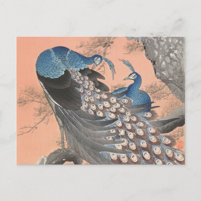 Cartão Postal Dois pavões na safra da árvore (Frente)