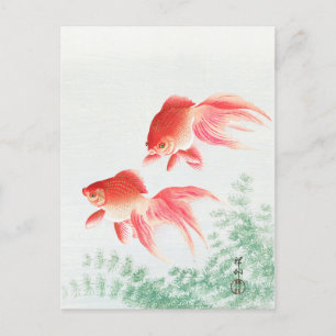 Cartão Postal Dois peixes dourados véu - Ohara Koson - Arte de p
