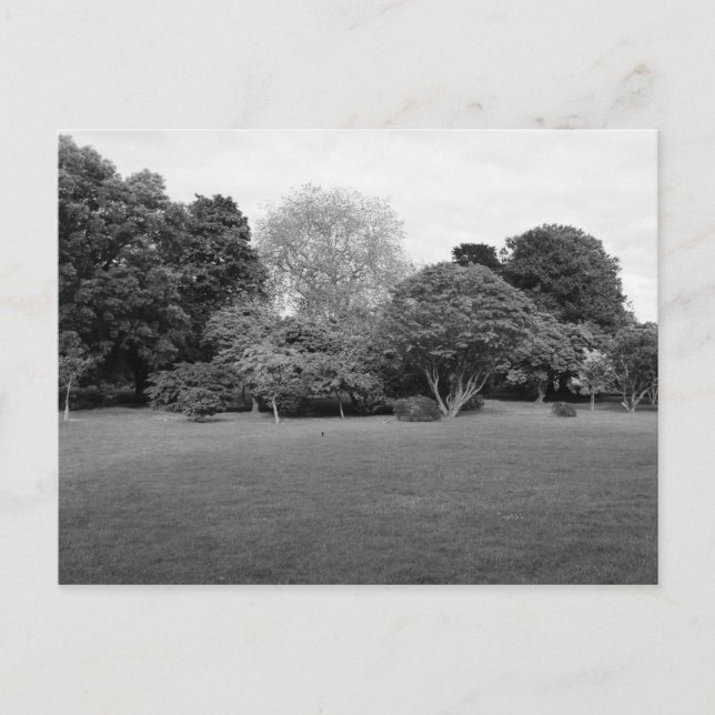 Cartão Postal Dois pela Joy (Frente)