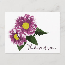 Cartão Postal Dois Pinks Magenta Dahlias pensando em você