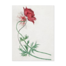 Dois ramos com uma flor - Michiel van Huysum.