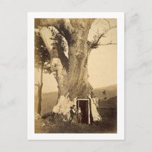 Cartão Postal Dois rapazes na porta do seu parque, c.1870