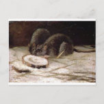 Cartão Postal Dois ratos por Vincent van Gogh<br><div class="desc">"Realismo" belas imagens de lendários artistas</div>