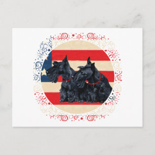 Cartão Postal Dois Scottish Terriers Patrióticos