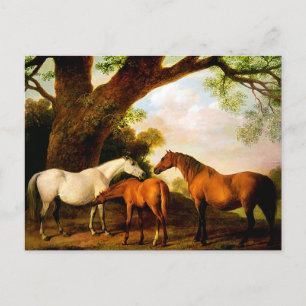 Cartão Postal Dois Shafto Mares e um Foal de George Stubbs