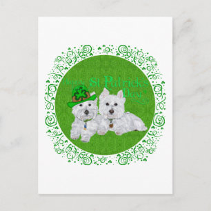 Cartão Postal Dois Westies Descansando no Dia de São Patrício