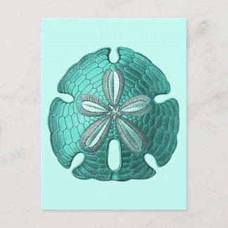 Cartão Postal Dólar de Areia Aqua