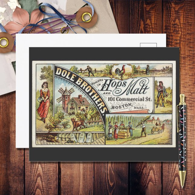 Cartão Postal Dole Brothers Ad Saltos e Malt Ephemeral (Criador carregado)