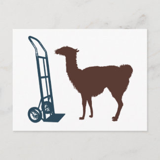 Cartão Postal Dolly llama