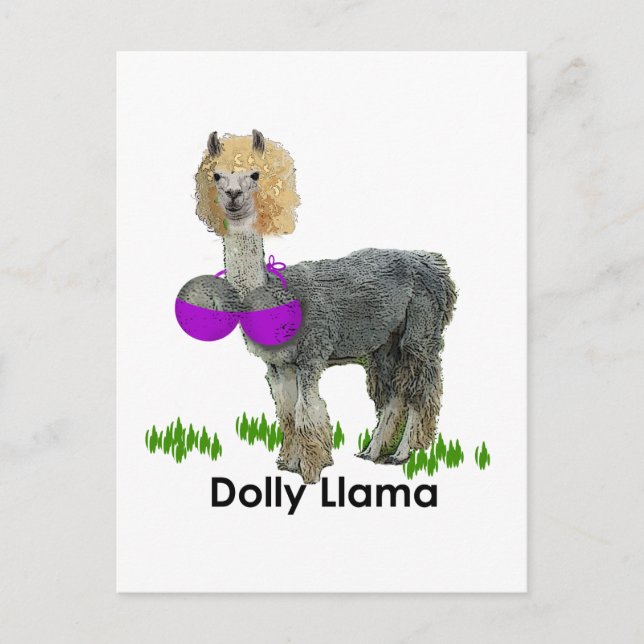 Cartão Postal Dolly Llama (Frente)