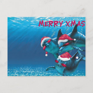 Cartão Postal Dolphin Santa Hat Engraçado Natal