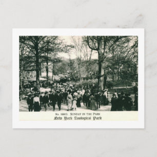 Cartão Postal Domingo no Zoológico Bronx Vintage
