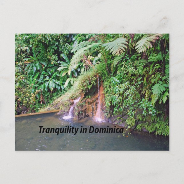 Cartão Postal Dominica (Frente)