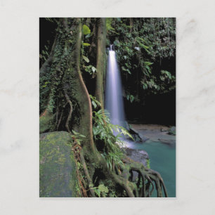 Cartão Postal Dominica, Piscina Esmeralda, Cachoeira.