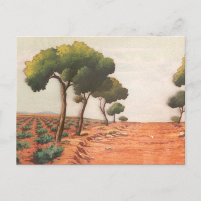 Cartão Postal DON QUIXOTE- Fundo de animação de desenho (1979) (Frente)