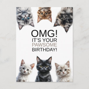 Cartão Postal Dona dos Gatos Aniversário Oba! É seu aniversári