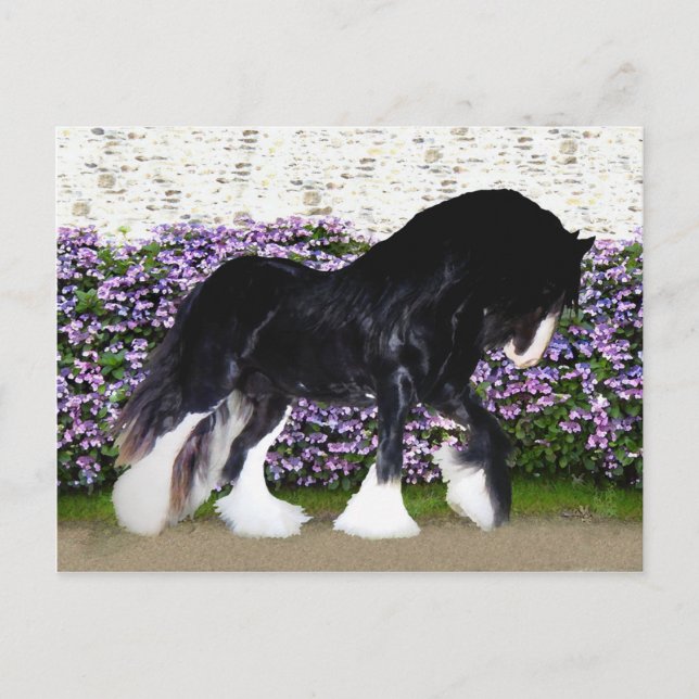 Cartão Postal "Donegal" Post Card (Frente)