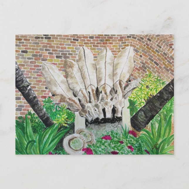 Cartão postal Donkey (Frente)