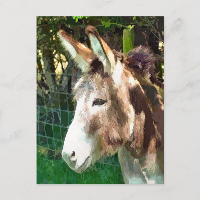 CARTÃO POSTAL DONKEY (Frente)