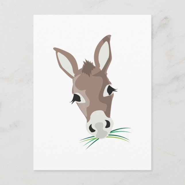 Cartão Postal Donkey Head (Frente)