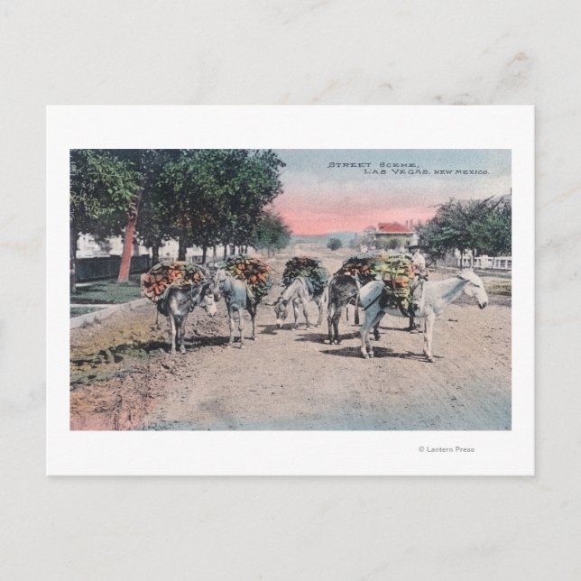 Cartão Postal Donkeys carregados na rua Las Vegas, NM (Frente)