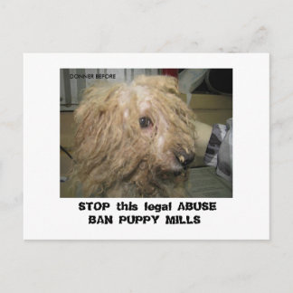 Cartão Postal DonnerBichon12-10-08 (42), PARE esta ABU legal...