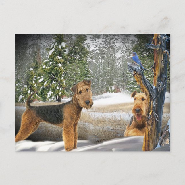 Cartão Postal Dons do Dia de inverno Airedale Terrier (Frente)