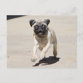 Cartão Postal Doobie Runnin'